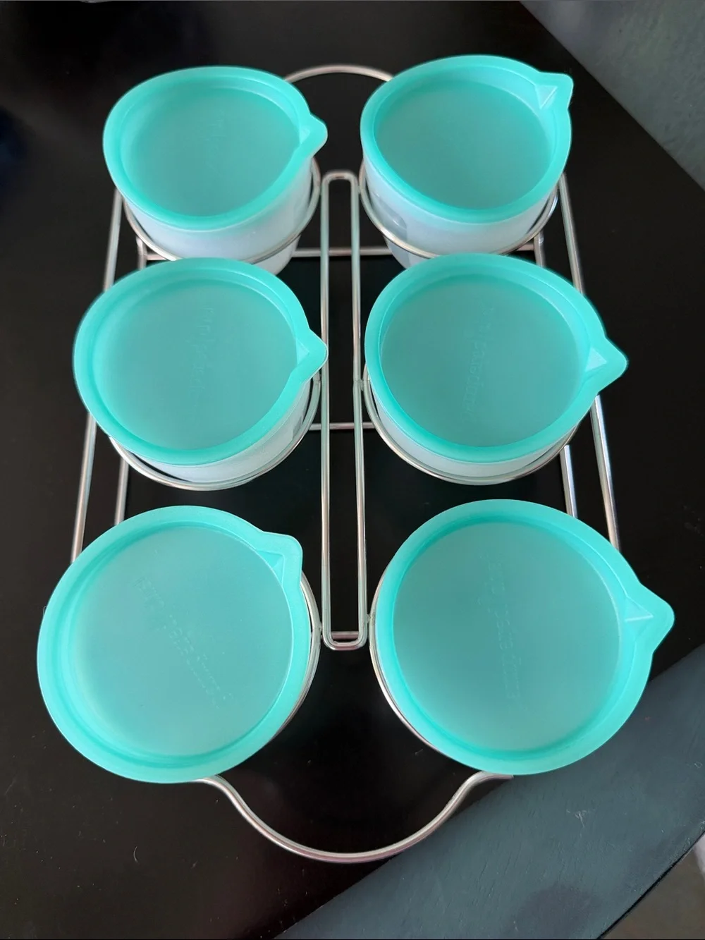 Pampered Chef Freezer Cups/Containers with Teal Lids And Rack - Set of 6